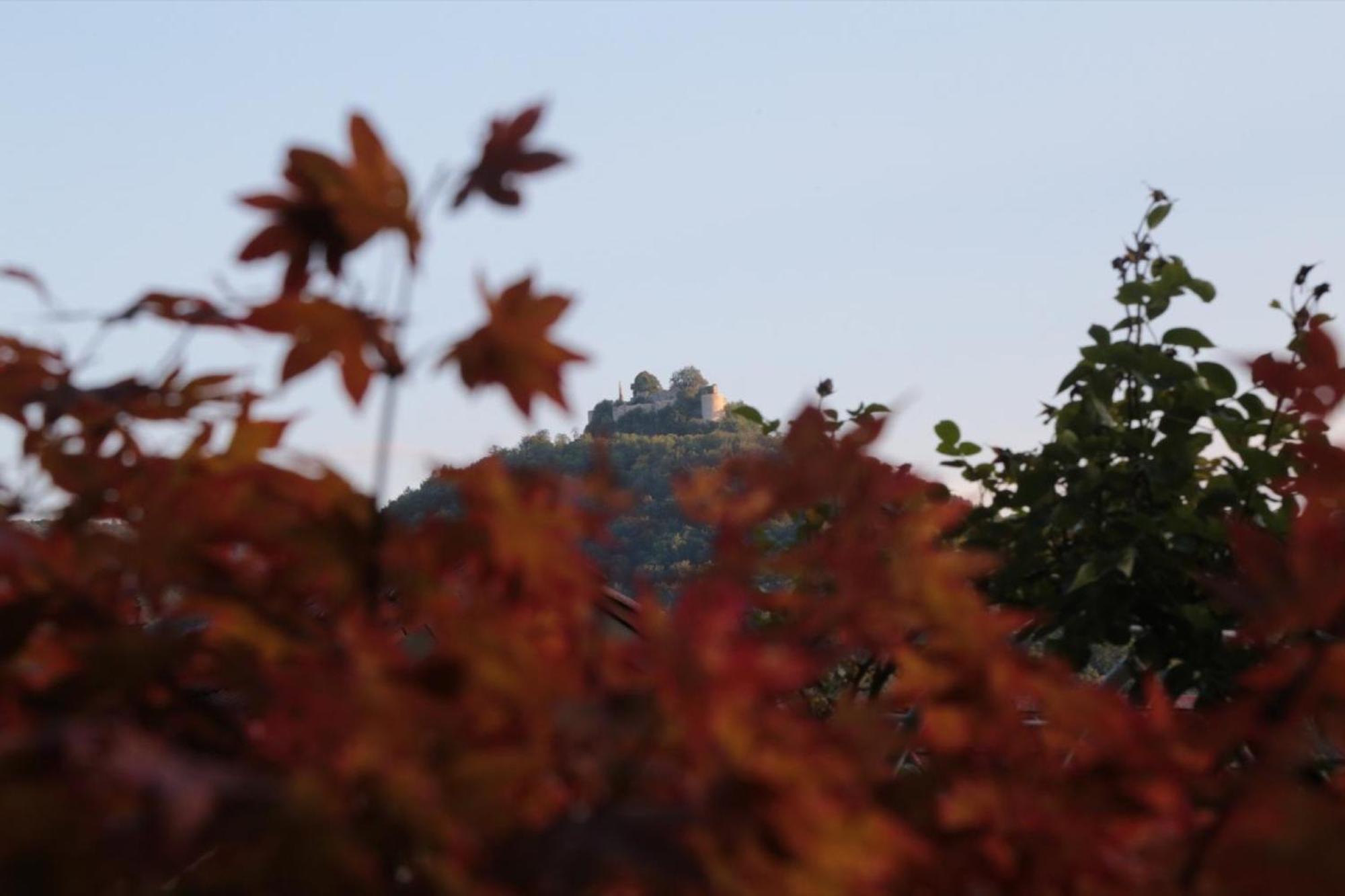 Appartamento Haus Am Sonnenhuegel Bad Urach Esterno foto