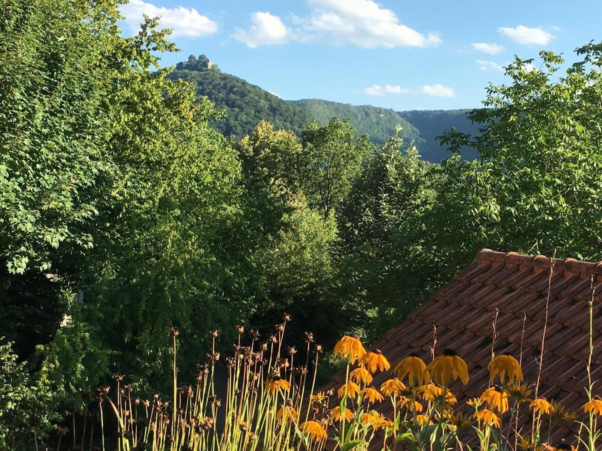 Appartamento Haus Am Sonnenhuegel Bad Urach Esterno foto