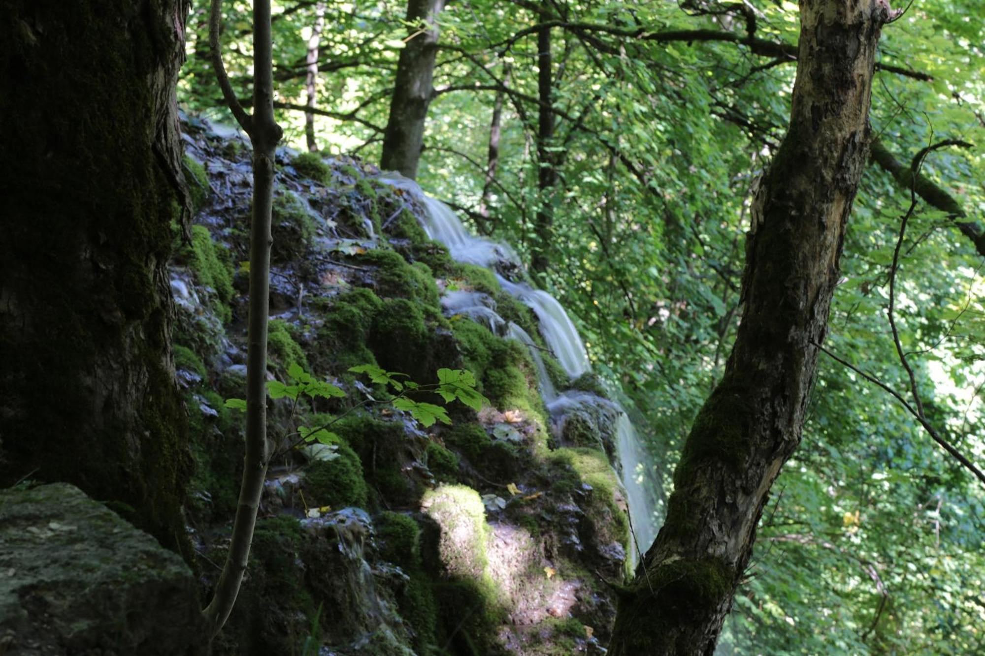 Appartamento Haus Am Sonnenhuegel Bad Urach Esterno foto